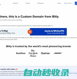 Custom Domain by Bitly
