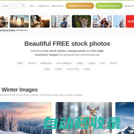 Free Stock Photos & Images • picjumbo