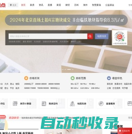 网站截图