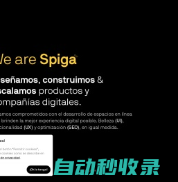 Spiga Agencia Digital CDMX - Especialistas en WordPress, SEO y Shopify