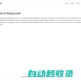 Secure and Blazing Fast Proxies | Proxy.com