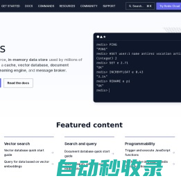 Redis - The Real-time Data Platform