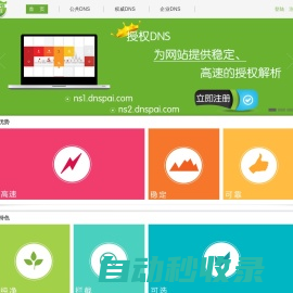 DNS派--最好的域名解析服务商--稳定_快速_安全_环保,智能DNS