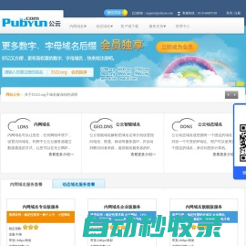 专业的云计算、动态域名服务提供商 - 公云PubYun