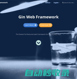 Gin Web Framework