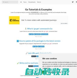 GOSAMPLES: Go (Golang) Tutorials & Examples