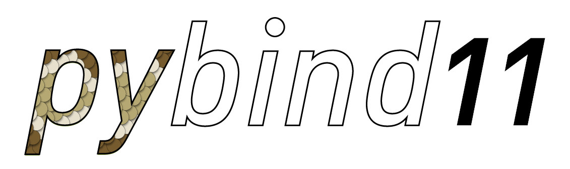 pybind11 documentation